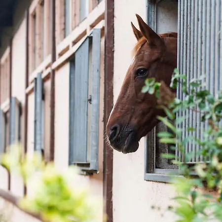 Landgasthof Jüterbog
