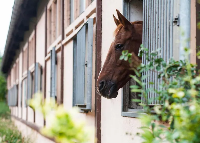 Project June - Ehemals Landgasthof Jüterbog
